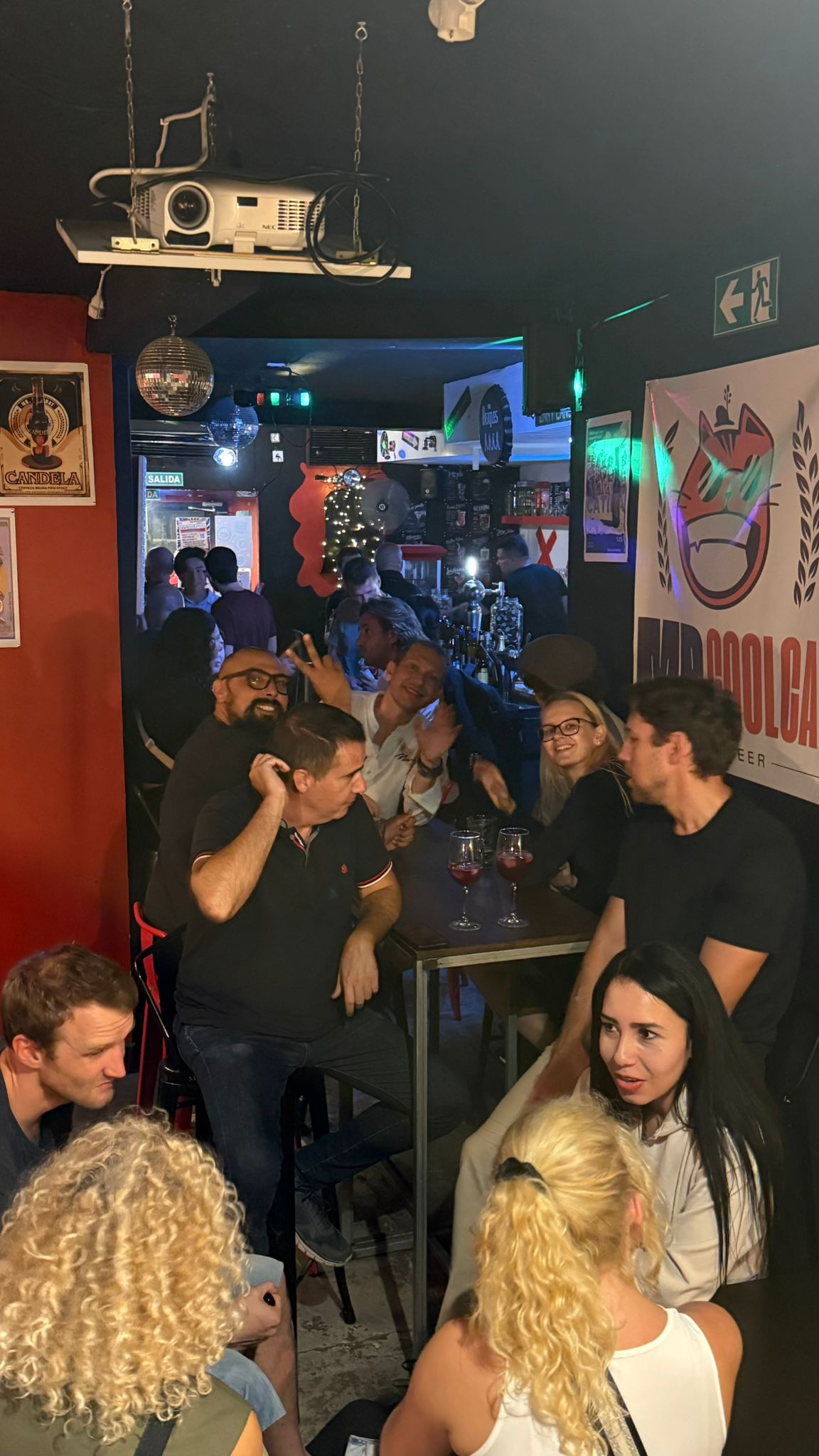 Gato Cool Interior 4